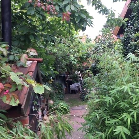 Schoene Gartenwohnung Im Klosterdorf Mariensee Neustadt am Rübenberge Exteriör bild